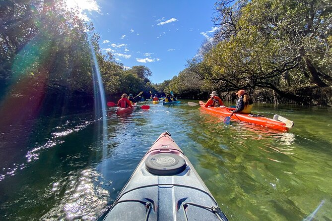 Adelaide Dolphin Sanctuary and Ships Graveyard Kayak Tour - Why this Adelaide dolphin kayak tour feels different from most tours