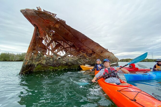 Adelaide Dolphin Sanctuary and Ships Graveyard Kayak Tour - Who this tour suits best, and who should think twice