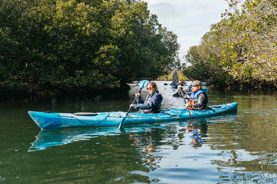 Adelaide: Dolphin Sanctuary Eco Kayaking Tour - Shipwrecks along the route: cool history, but not guaranteed