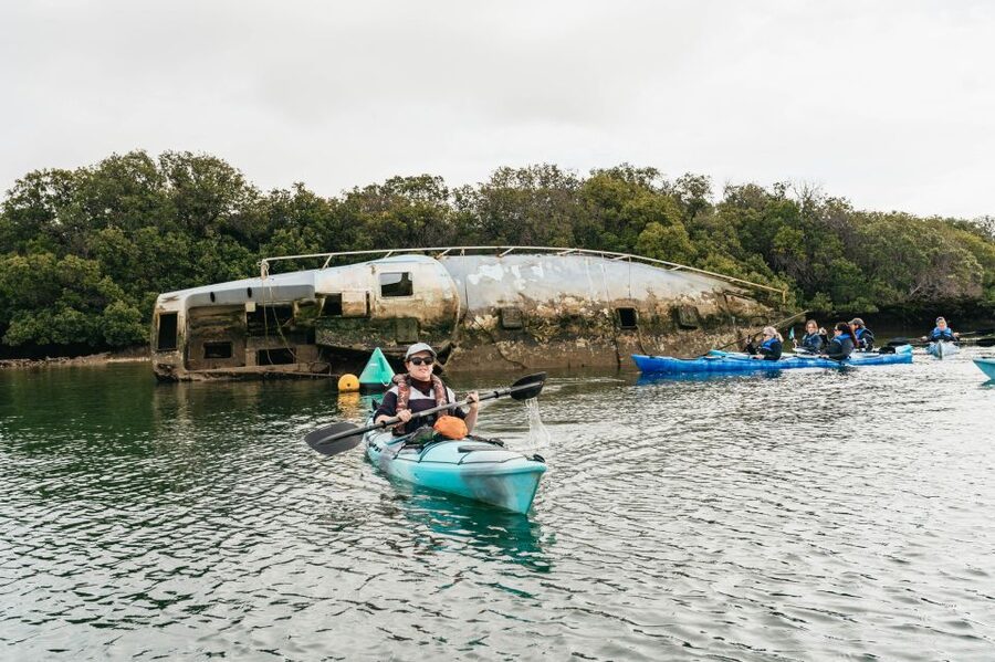 Adelaide: Dolphin Sanctuary Eco Kayaking Tour - Dolphin sanctuary etiquette: how guides keep the focus on the dolphins