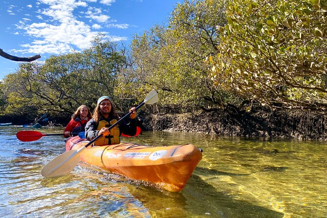 Adelaide Dolphin Sanctuary Mangroves Kayaking Tour - Key things I’d plan around