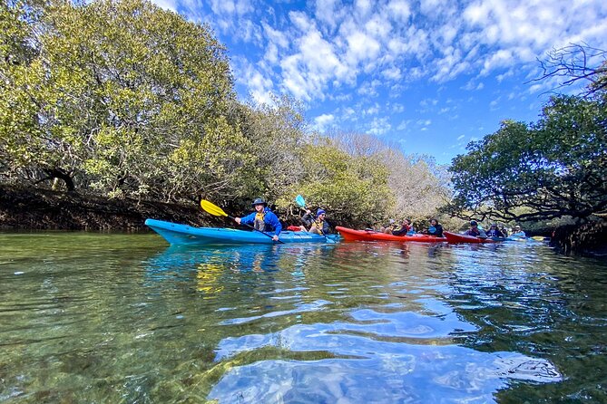Adelaide Dolphin Sanctuary Mangroves Kayaking Tour - Stop 1 at Adventure Kayaking SA: safety briefing plus quick setup