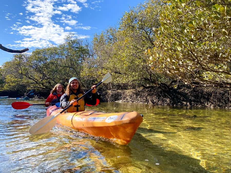 Adelaide: Dolphin Sanctuary Single or Double Kayak Rental - Key things I’d plan around