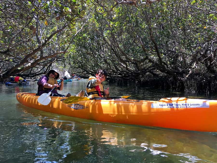 Adelaide: Dolphin Sanctuary Single or Double Kayak Rental - What Happens Before You Paddle: Briefing, Gear, and a Map That Matters