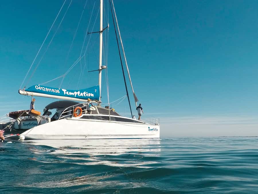 Adelaide: Glenelg Twilight Catamaran Cruise with Drink - The 90-minute flow: how the evening actually unfolds