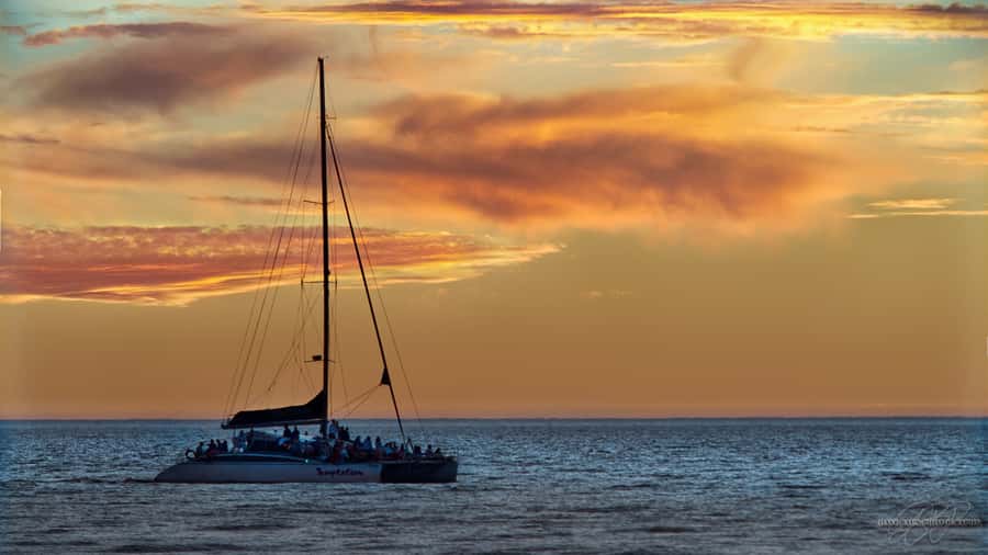 Adelaide: Glenelg Twilight Catamaran Cruise with Drink - Dolphins are a bonus, not the promise