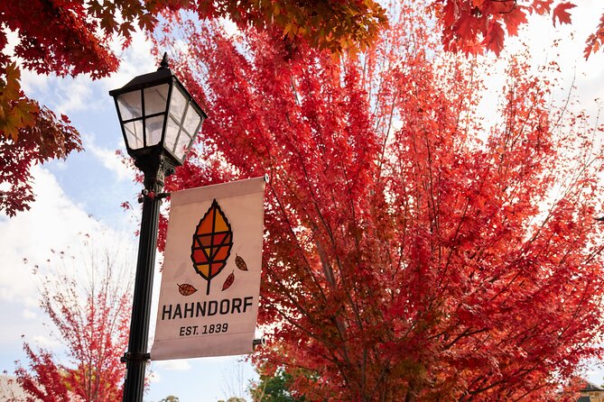 Adelaide Highlights, Hahndorf & McLaren Vale Wine Tasting and Sightseeing Tour - McLaren Vale Main Street Time, Use It Your Way