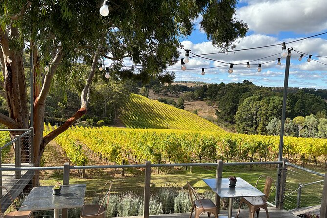 Adelaide Hills and Hahndorf - Half Day Private Scenic Tour - Hahndorf’s German Village Time: Shops, Cafes, and Lunch Choices