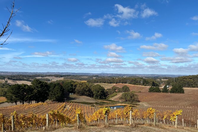 Adelaide Hills and Hahndorf - Half Day Private Scenic Tour - Flexibility Is the Real Luxury Here