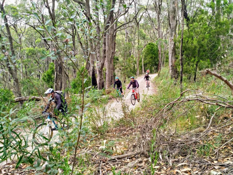 Adelaide Hills: E-Bike Self-Guided Tour with Coffee and Cake - What you get for $88, and what you should budget for
