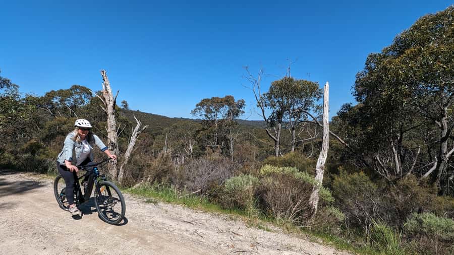 Adelaide Hills: E-Bike Self-Guided Tour with Coffee and Cake - Wildlife time: spotting koalas, kangaroos, and emus without rushing