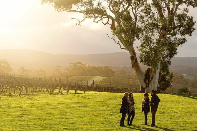 Adelaide Hills & Hahndorf Hop-On Hop-Off Wine Tour - Key things to know before you go