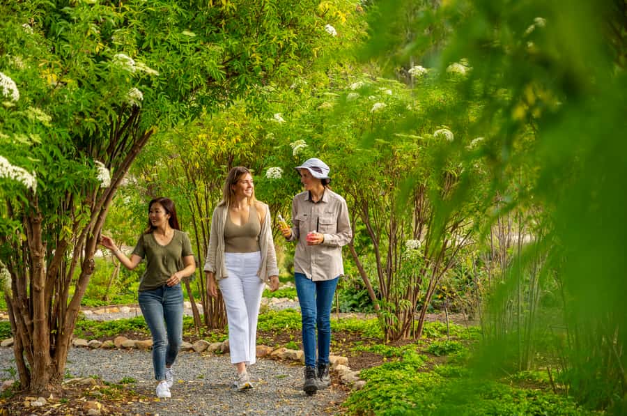 Adelaide Hills: Jurlique Farm Tour - Jurlique in the Adelaide Hills, what you’re really touring