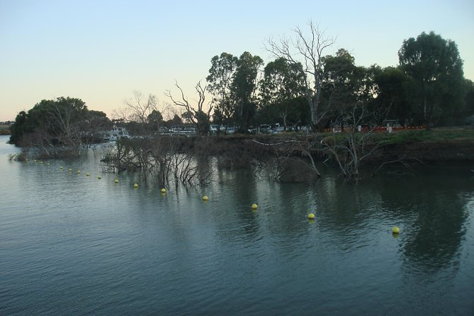 Adelaide Hills Tour with River Murray Lunch Cruise - Price vs Value: When This Tour Feels Like a Good Deal
