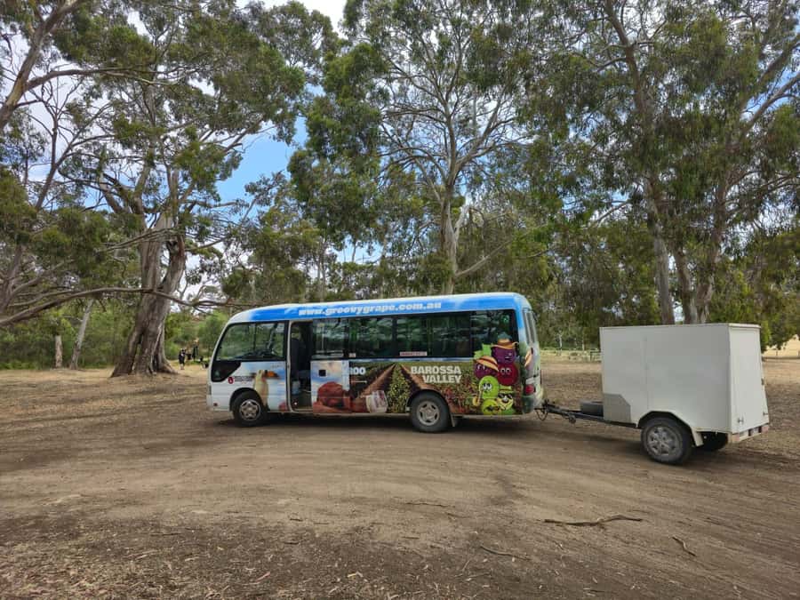 Adelaide: Kangaroo Island 2-Day Epic Wildlife Adventure - Day 1: Penneshaw, Prospect Hill, and Duck Lagoon for real wildlife time