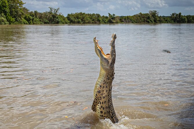 Adelaide River Cruises - Jumping Crocodile Experience - Key things to know before you go