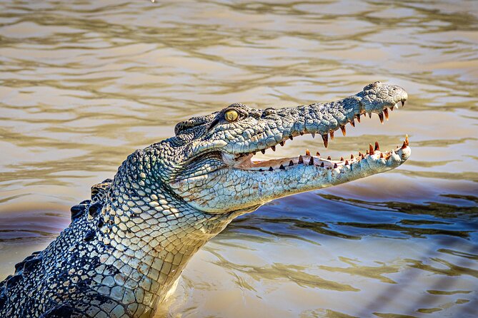 Adelaide River Cruises - Jumping Crocodile Experience - Entering the Adelaide River crocodile country from Darwin