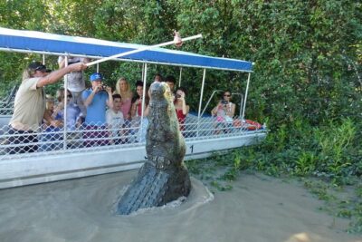 Adelaide River Cruises – Jumping Crocodile Experience