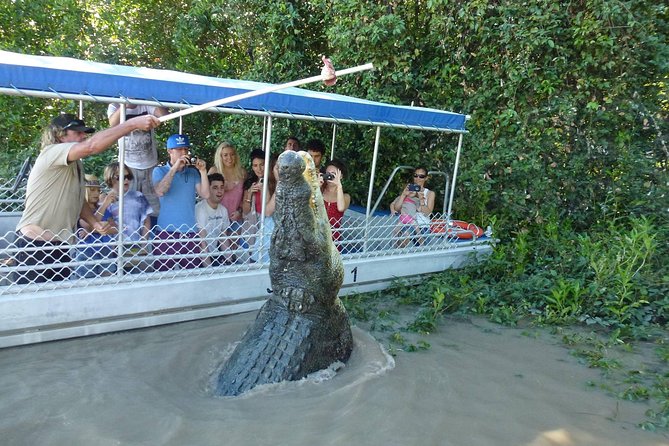 Adelaide River Cruises - Jumping Crocodile Experience - How the Jumping Croc Cruise works, step by step