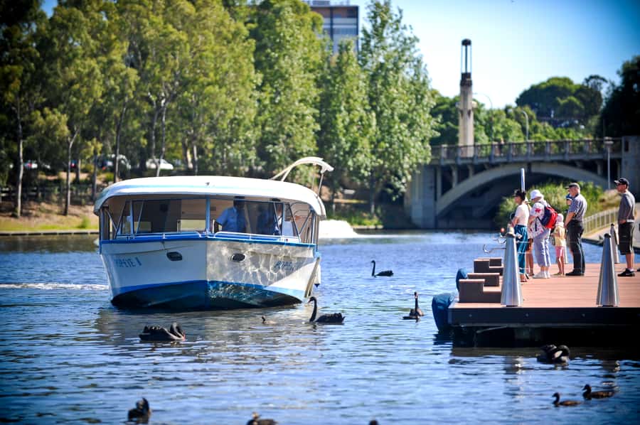 Adelaide: River Torrens Popeye Devonshire Tea Cruise - Devonshire Tea on the River Torrens: scones, jam, and value at $28