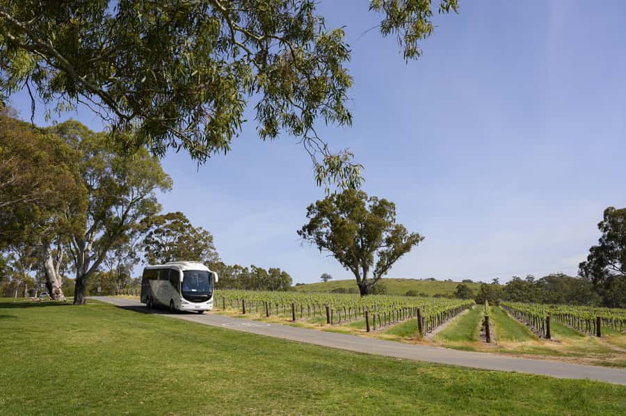Adelaide: Small Group Tour of Barossa, Wineries with Lunch - Chateau Tanunda: a guided walk through 130+ years of winemaking