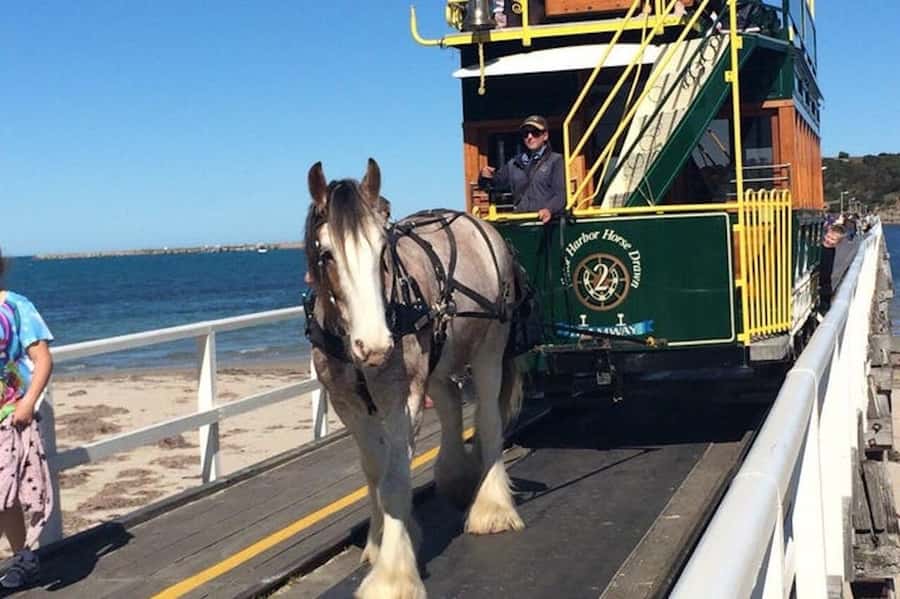 Adelaide: South Australia Guided Full-Day Highlights Tour - Key highlights to expect