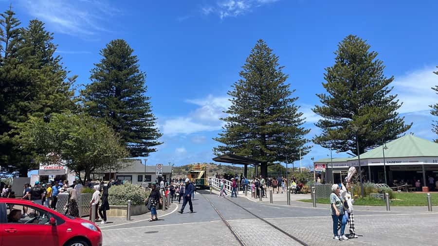 Adelaide: South Australia Guided Full-Day Highlights Tour - Included lunch, coffee extras, and alcohol you bring yourself