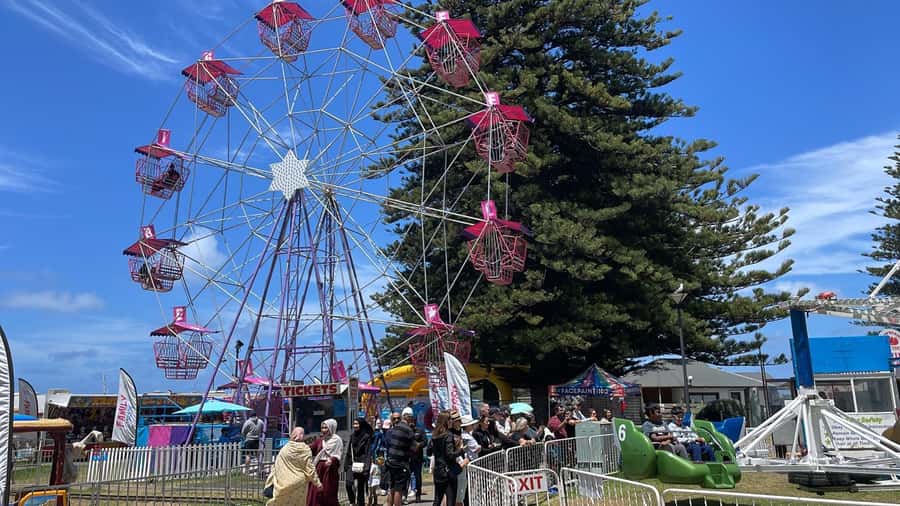 Adelaide: South Australia Guided Full-Day Highlights Tour - Price and value at about $126 per person for an 8-hour highlights day