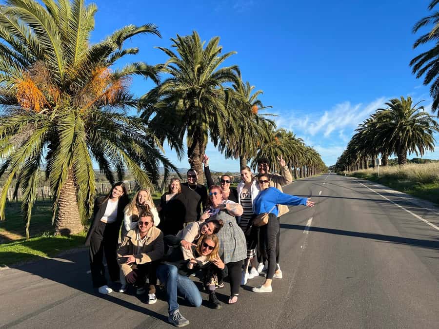 Adelaide: South Australia Guided Full-Day Highlights Tour - Pickups from Adelaide CBD or Glenelg, and how the timing feels