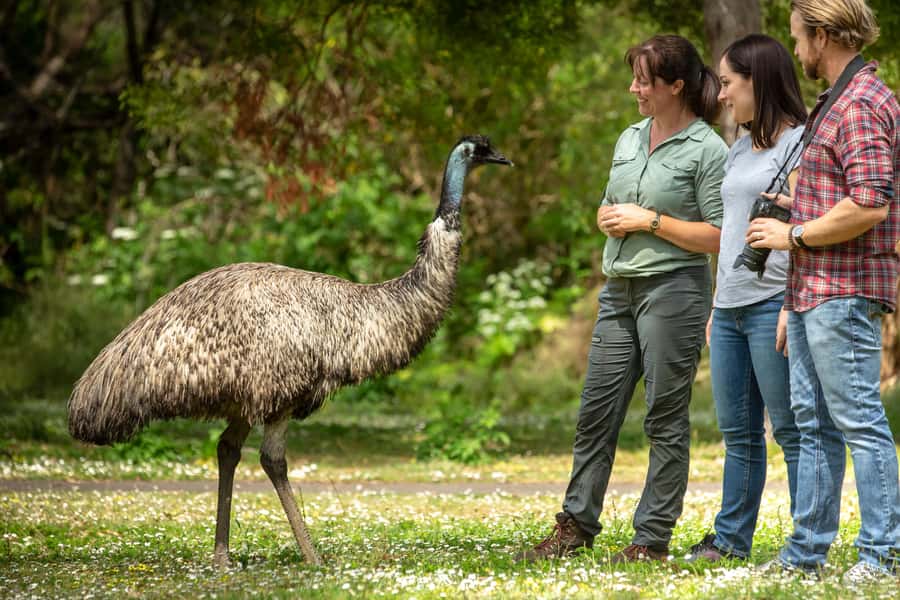 Adelaide to Melbourne: 3-Day Ultimate Overland Journey - Grampians National Park (Gariwerd): the walking is part of the story
