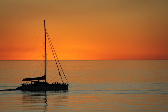 Adelaide Twilight Cruise from Glenelg - Your Drink Included: What You Get and How to Think About It