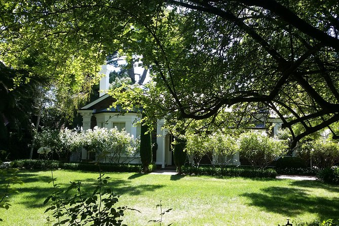 Adelaide Walking Tour: East End Escapade - Weather, group size, and comfort notes that actually matter