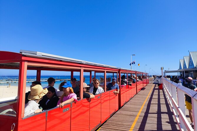 Adventure Rottnest Tour with Ferry & Adventure Cruise - Wildlife spotting tips that make the cruise better