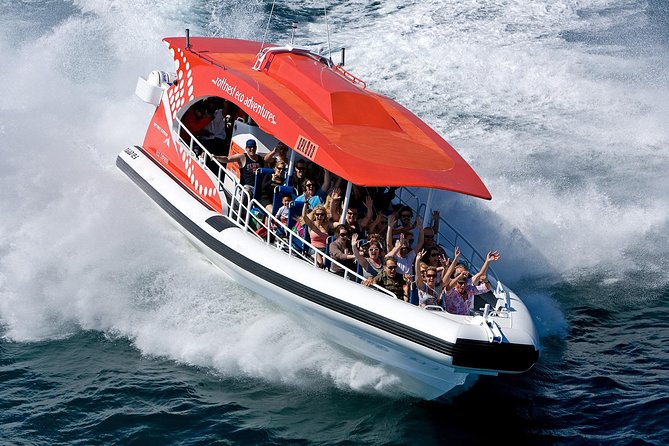 Adventure Rottnest Tour with Ferry & Adventure Cruise - Your free Rottnest afternoon: bikes, beaches, snorkeling, and quokkas