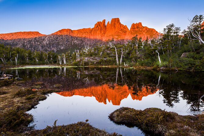 After Dark Tasmanian Devil Feeding Tour at Cradle Mountain - The guided walk and the enclosure feeding moments