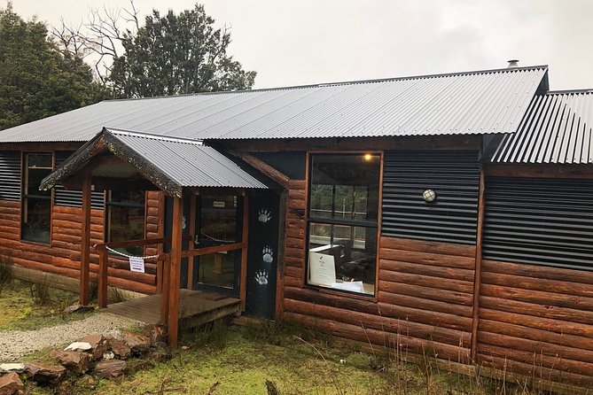 After Dark Tasmanian Devil Feeding Tour at Cradle Mountain - Comfort tips for a cold night: what to wear and how to prepare