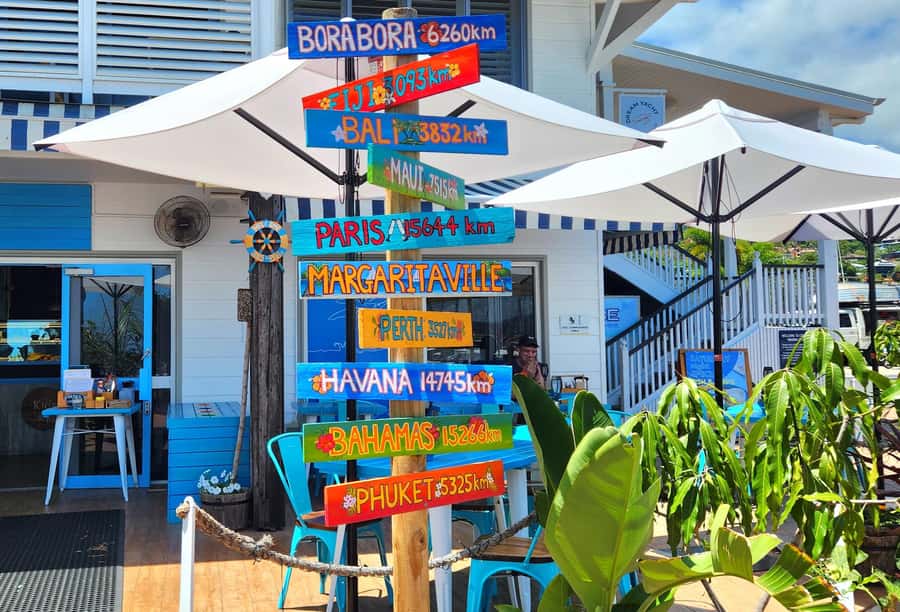 Airlie Beach 3 hr Sightseeing Explorer: Snaps & highlights - Coral Sea Marina: finishing with a strong coastal feel