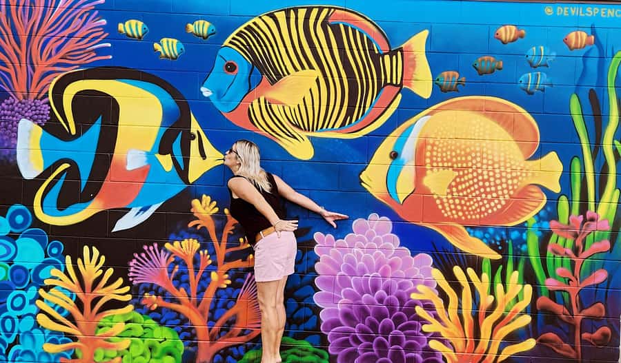 Airlie Beach 3 hr Sightseeing Explorer: Snaps & highlights - What you get in the price, and what you should pack