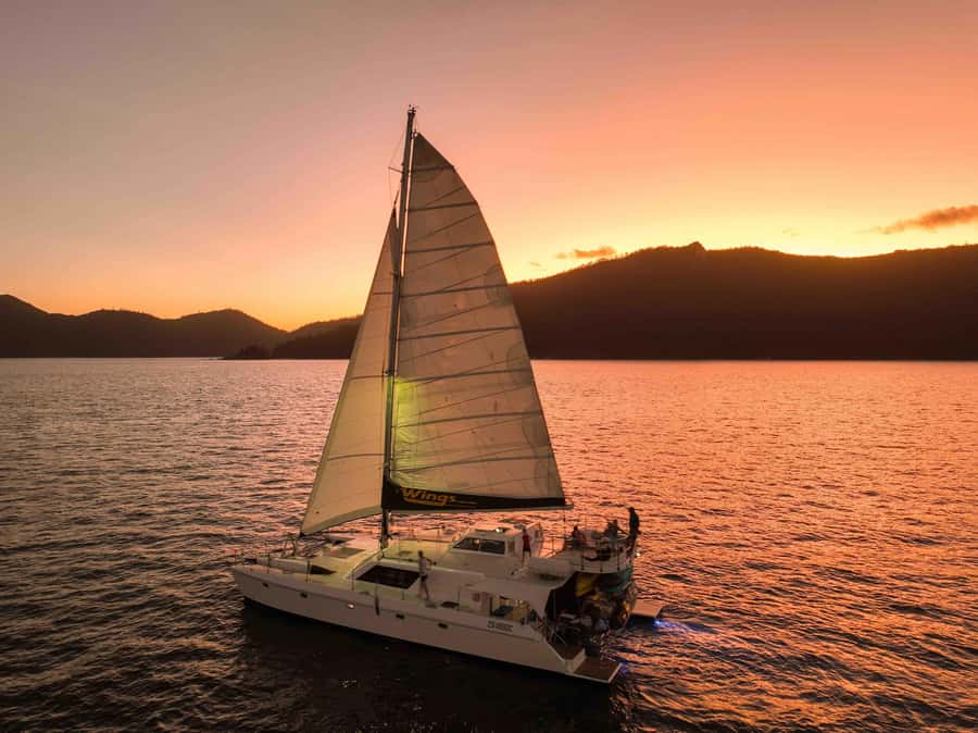 Airlie Beach: BYOB Sunset Sail in Style Catamaran Cruise - Key Points to Know Before You Go