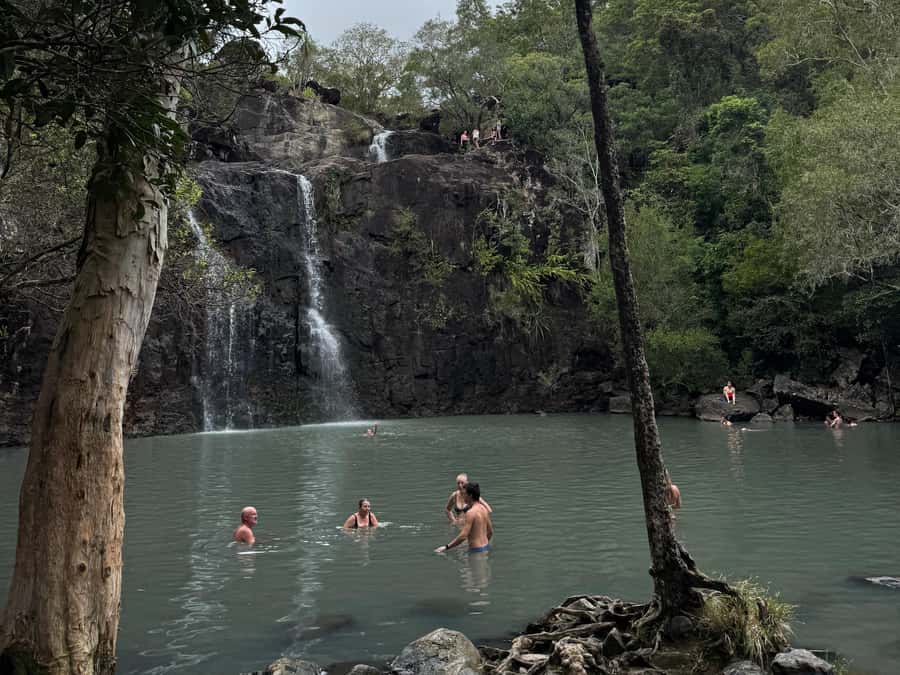 Airlie Beach: Cedar Creek Express Eco Tour - Cedar Creek Falls swim time: how it works in wet and dry seasons