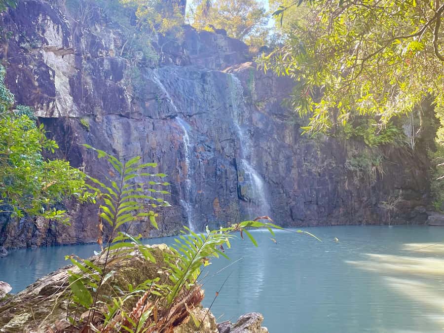 Airlie Beach: Cedar Creek Express Eco Tour - Tea at the falls and local add-ons: coffee plantation or Colour Me Crazy
