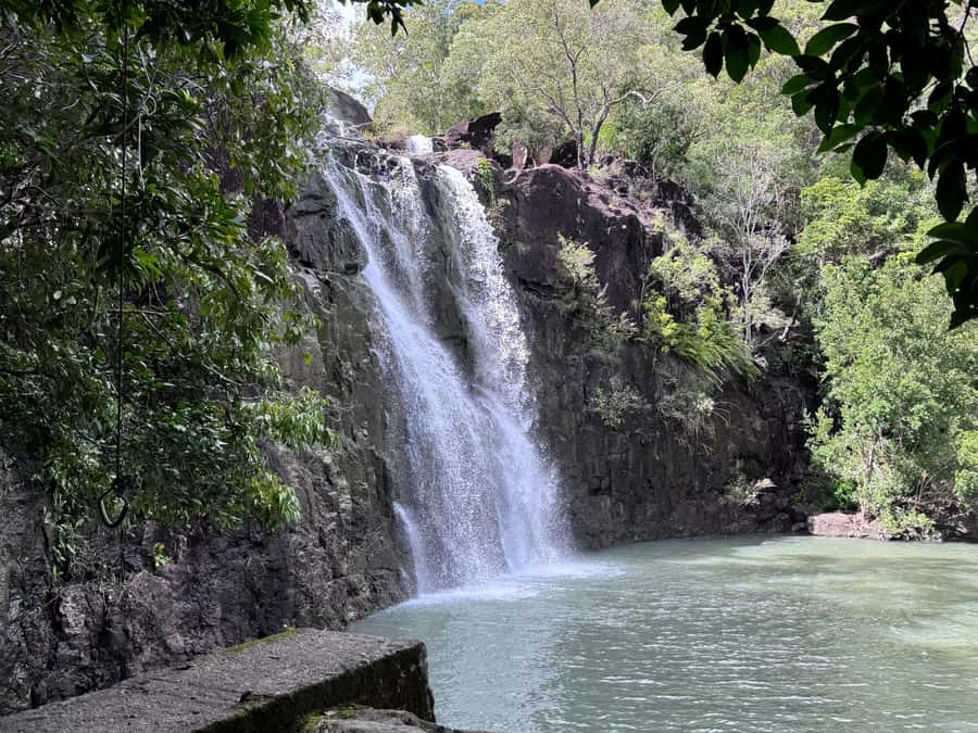 Airlie Beach: Cedar Creek Express Eco Tour - Price and value at about $63 per person