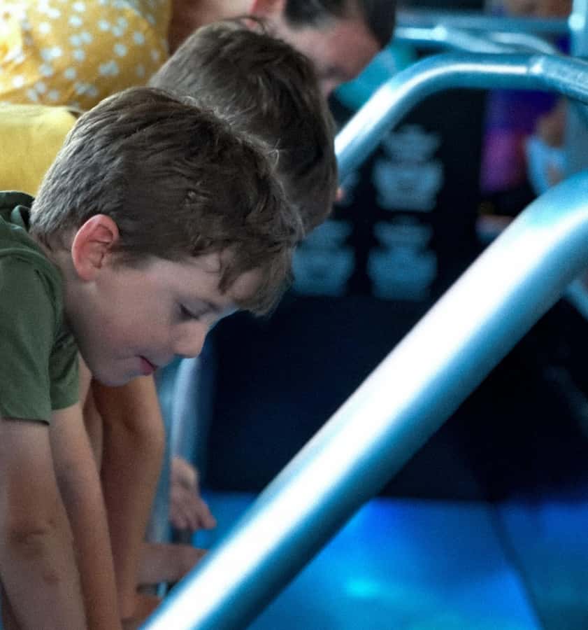 Airlie Beach: Glass-Bottom Boat Night Tour - The One-Hour Cruise: What You Actually Do On Board