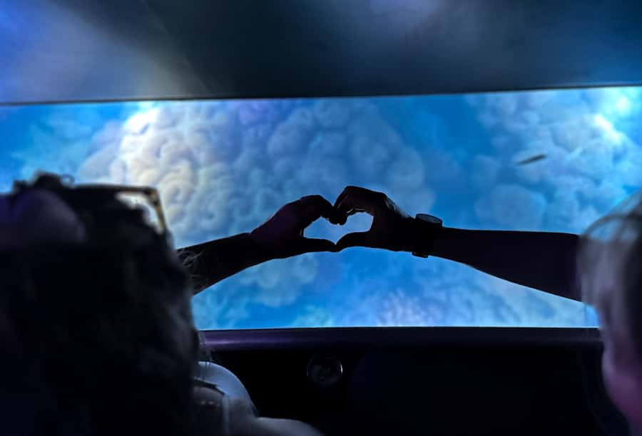 Airlie Beach: Glass-Bottom Boat Night Tour - Reviews Snapshot: The Big Wins and One Clear Watch-Out