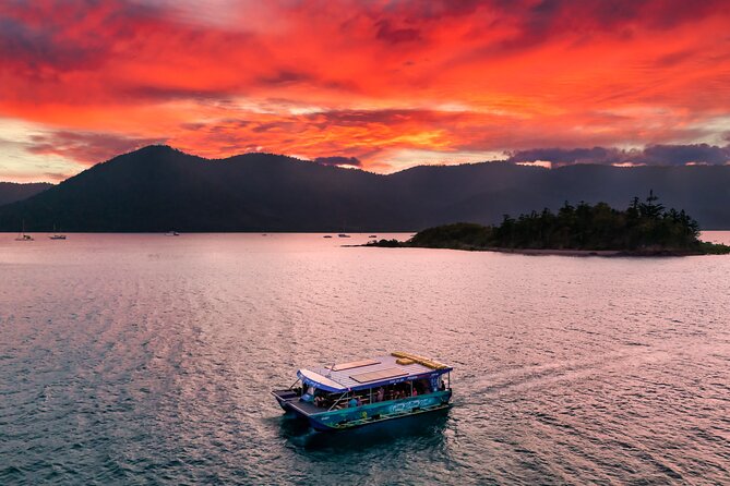 Airlie Beach Glass bottom boat Scenic Sunset Tour - What you’ll see through the glass-bottom, and how to make it work