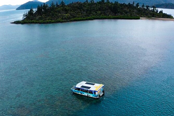 Airlie Beach Glass bottom boat Scenic Sunset Tour - The onboard bar, snacks, and the value of not thinking about food