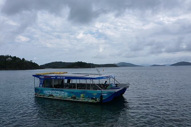 Airlie Beach Glass bottom boat Scenic Sunset Tour - Quick tips to get the most out of your sunset cruise