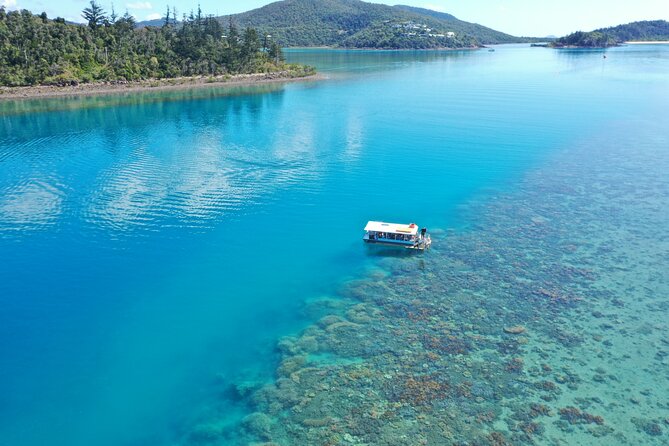 Airlie Beach: Glass-Bottom Boat Tour - Key things to know before you go