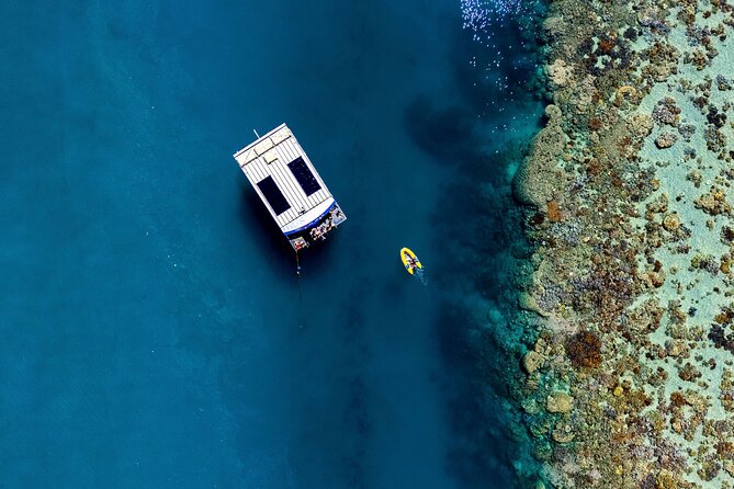 Airlie Beach: Glass-Bottom Boat Tour - What the guides actually do (and why it boosts the experience)