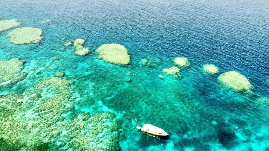 Airlie Beach: Great Barrier Reef & Whitehaven Beach Tour - Meeting at Coral Sea Marina North and getting your day right